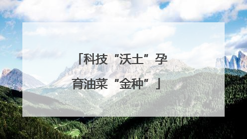 科技“沃土”孕育油菜“金种”