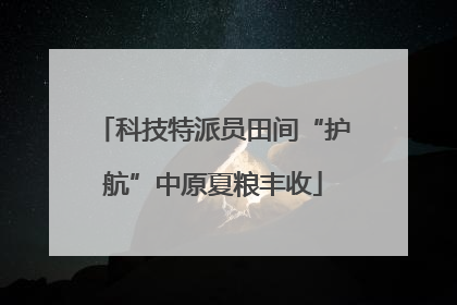 科技特派员田间“护航”中原夏粮丰收
