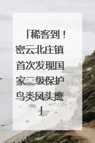 稀客到！密云北庄镇首次发现国家二级保护鸟类凤头鹰