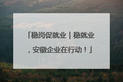 稳岗促就业｜稳就业，安徽企业在行动！