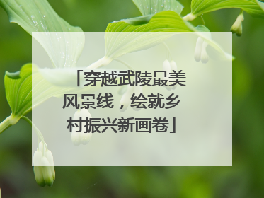 穿越武陵最美风景线，绘就乡村振兴新画卷