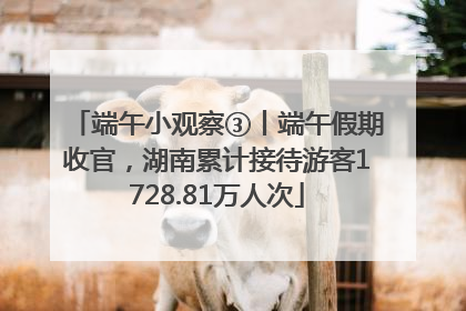 端午小观察③丨端午假期收官，湖南累计接待游客1728.81万人次