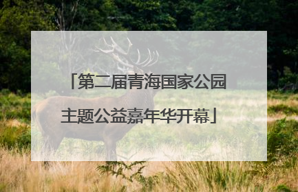 第二届青海国家公园主题公益嘉年华开幕