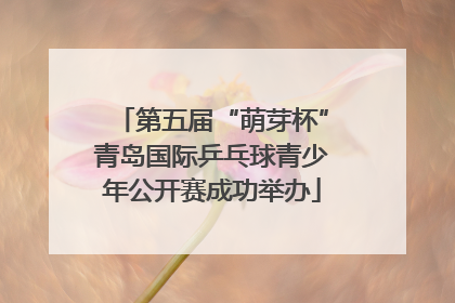第五届“萌芽杯”青岛国际乒乓球青少年公开赛成功举办