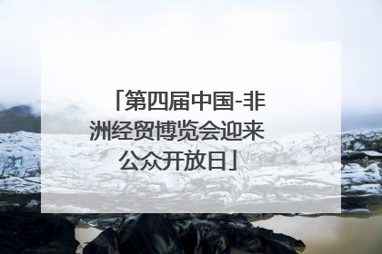 第四届中国-非洲经贸博览会迎来公众开放日