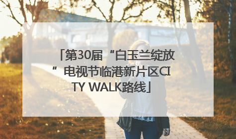 第30届“白玉兰绽放”电视节临港新片区CITY WALK路线