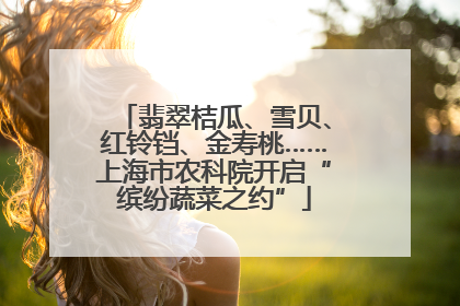 翡翠桔瓜、雪贝、红铃铛、金寿桃……上海市农科院开启“缤纷蔬菜之约”