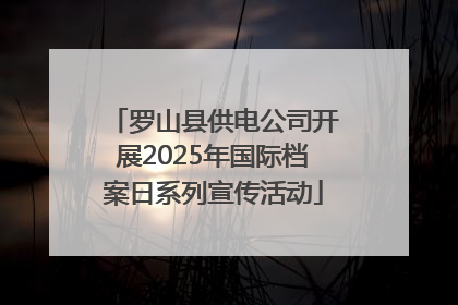 罗山县供电公司开展2025年国际档案日系列宣传活动