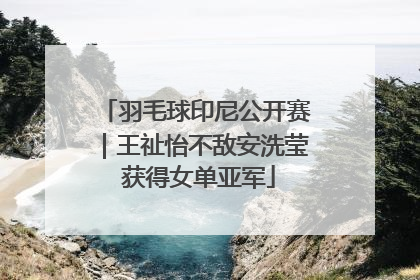 羽毛球印尼公开赛｜王祉怡不敌安洗莹 获得女单亚军