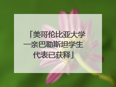 美哥伦比亚大学一亲巴勒斯坦学生代表已获释