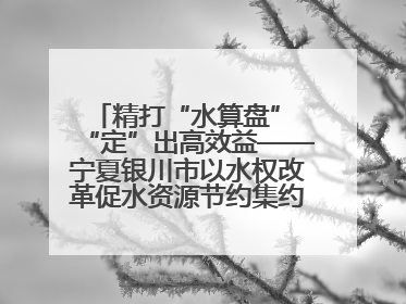 精打“水算盘” “定”出高效益——宁夏银川市以水权改革促水资源节约集约高效利用