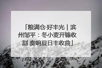 粮满仓·好丰光｜滨州邹平：冬小麦开镰收割 奏响夏日丰收曲