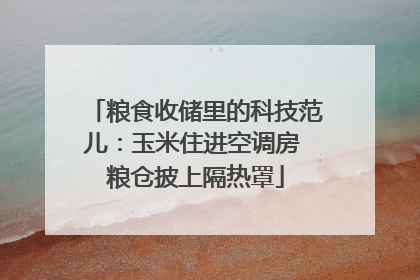 粮食收储里的科技范儿：玉米住进空调房 粮仓披上隔热罩