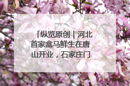 纵览原创｜河北首家盒马鲜生在唐山开业，石家庄门店预计8月开业