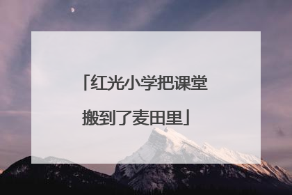 红光小学把课堂搬到了麦田里