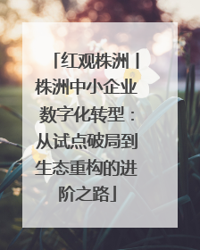 红观株洲丨株洲中小企业数字化转型：从试点破局到生态重构的进阶之路