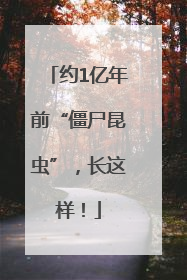 约1亿年前“僵尸昆虫”，长这样！