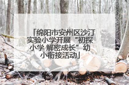 绵阳市安州区沙汀实验小学开展“初探小学 解密成长”幼小衔接活动