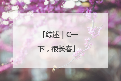 综述｜C一下，很长春