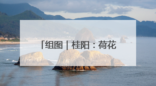 组图｜桂阳：荷花悄然绽放 碧波荷叶绘就美好夏日画卷