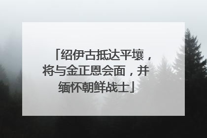绍伊古抵达平壤，将与金正恩会面，并缅怀朝鲜战士