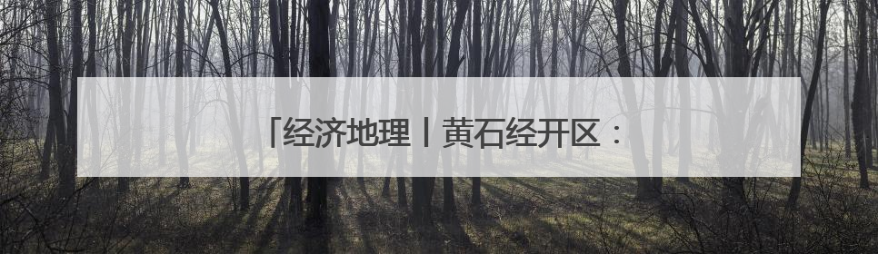 经济地理丨黄石经开区：聚企成链“芯光”闪耀
