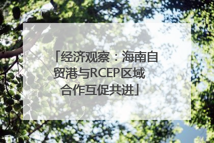 经济观察：海南自贸港与RCEP区域合作互促共进