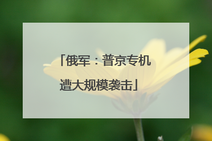 俄军：普京专机遭大规模袭击