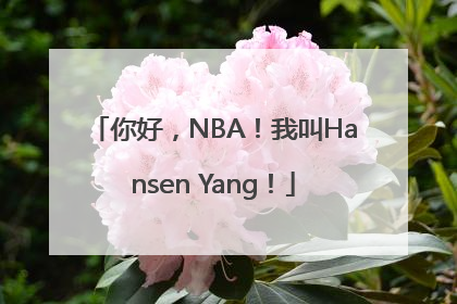 你好，NBA！我叫Hansen Yang！