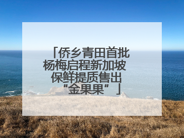 侨乡青田首批杨梅启程新加坡 保鲜提质售出“金果果”