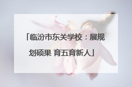临汾市东关学校：展规划硕果 育五育新人