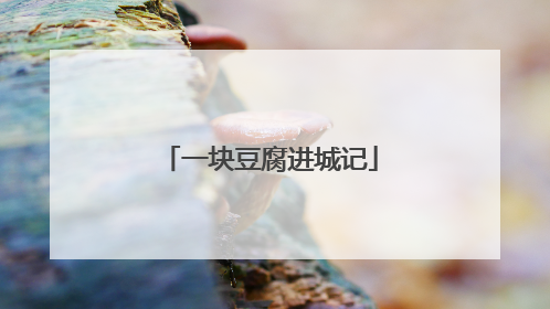 一块豆腐进城记