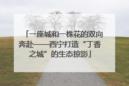 一座城和一株花的双向奔赴——西宁打造“丁香之城”的生态掠影