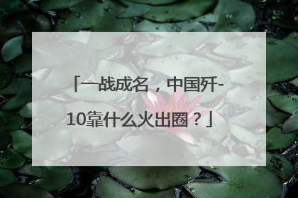 一战成名，中国歼-10靠什么火出圈？