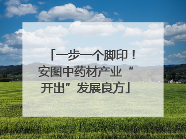一步一个脚印！安图中药材产业“开出”发展良方