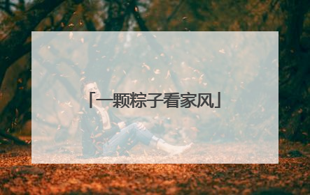 一颗粽子看家风