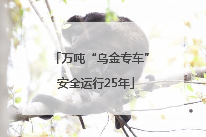 万吨“乌金专车”安全运行25年