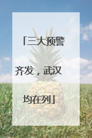 三大预警齐发，武汉均在列