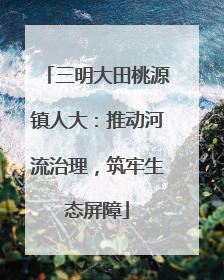 三明大田桃源镇人大：推动河流治理，筑牢生态屏障