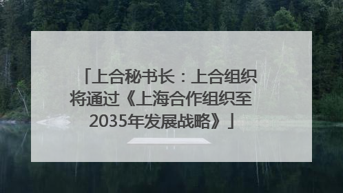 上合秘书长：上合组织将通过《上海合作组织至2035年发展战略》