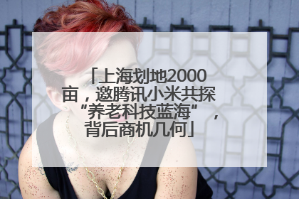 上海划地2000亩，邀腾讯小米共探“养老科技蓝海”，背后商机几何