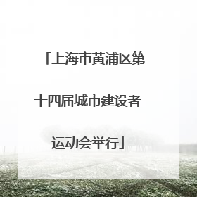 上海市黄浦区第十四届城市建设者运动会举行