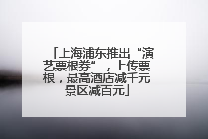 上海浦东推出“演艺票根券”，上传票根，最高酒店减千元景区减百元
