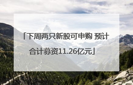 下周两只新股可申购 预计合计募资11.26亿元