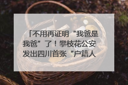 不用再证明“我爸是我爸”了！攀枝花公安发出四川首张“户籍人口直系亲属关系谱”