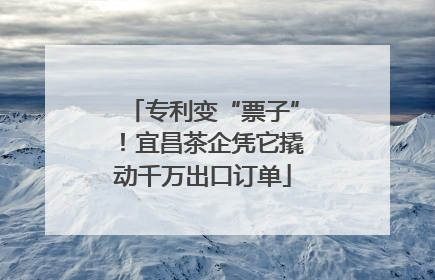 专利变“票子”！宜昌茶企凭它撬动千万出口订单