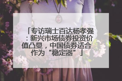 专访瑞士百达杨孝强：新兴市场债券投资价值凸显，中国债券适合作为“稳定器”