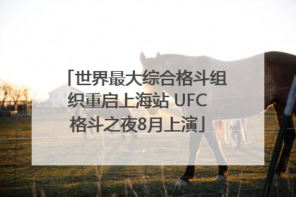 世界最大综合格斗组织重启上海站 UFC格斗之夜8月上演