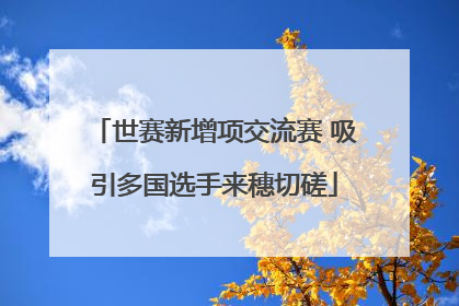 世赛新增项交流赛 吸引多国选手来穗切磋