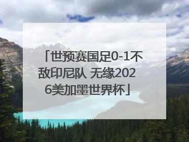 世预赛国足0-1不敌印尼队 无缘2026美加墨世界杯